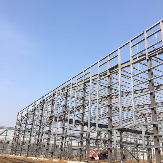 Customized Fast Assembly Light Steel Structure Building Industrial Warehouse Prefab Workshop